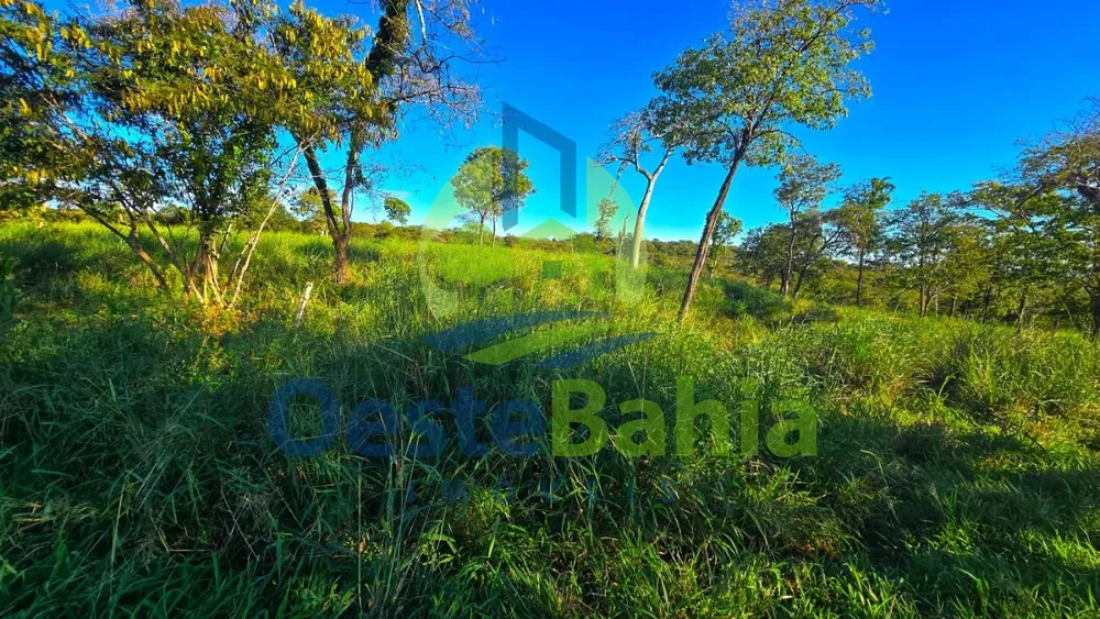 Fazenda, 500 hectares - Foto 8