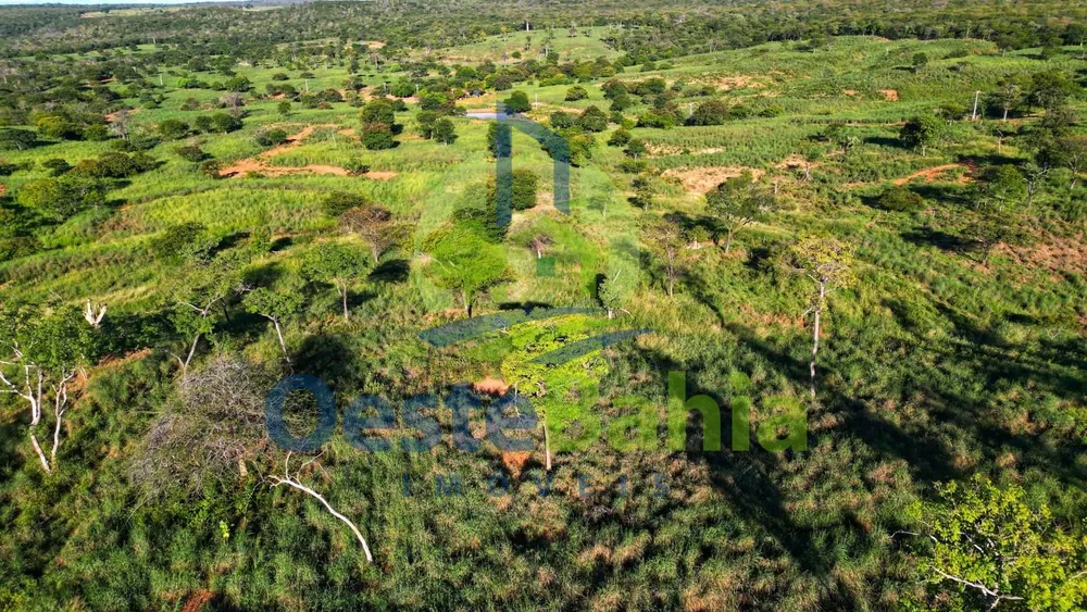 Fazenda, 500 hectares - Foto 7