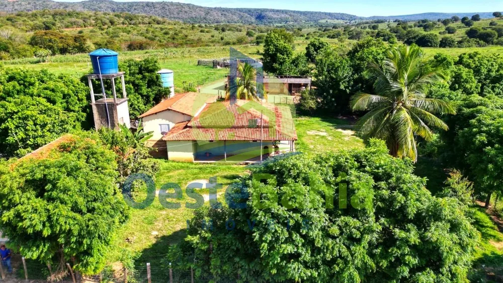 Fazenda, 92 hectares - Foto 3