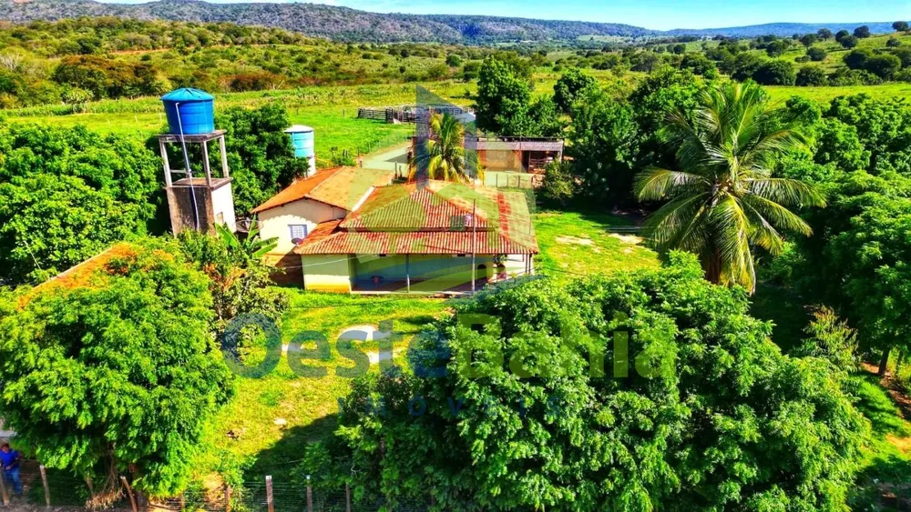 Fazenda, 92 hectares - Foto 2