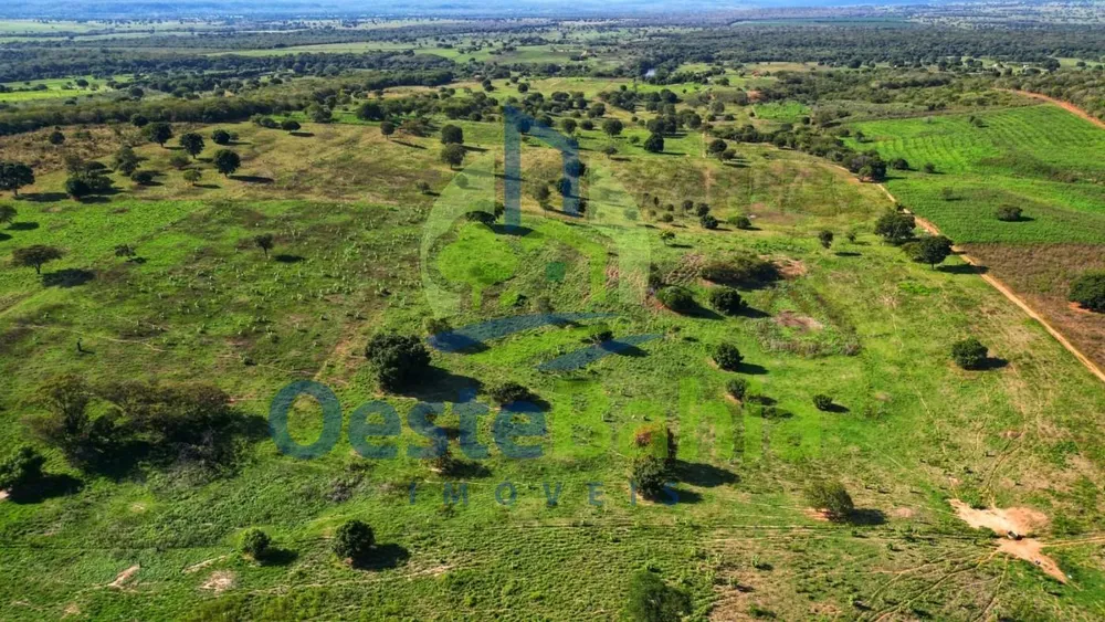 Fazenda, 92 hectares - Foto 12