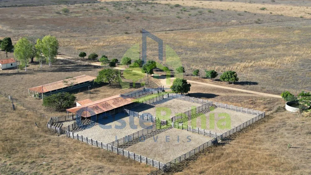 Fazenda, 13160 hectares - Foto 2