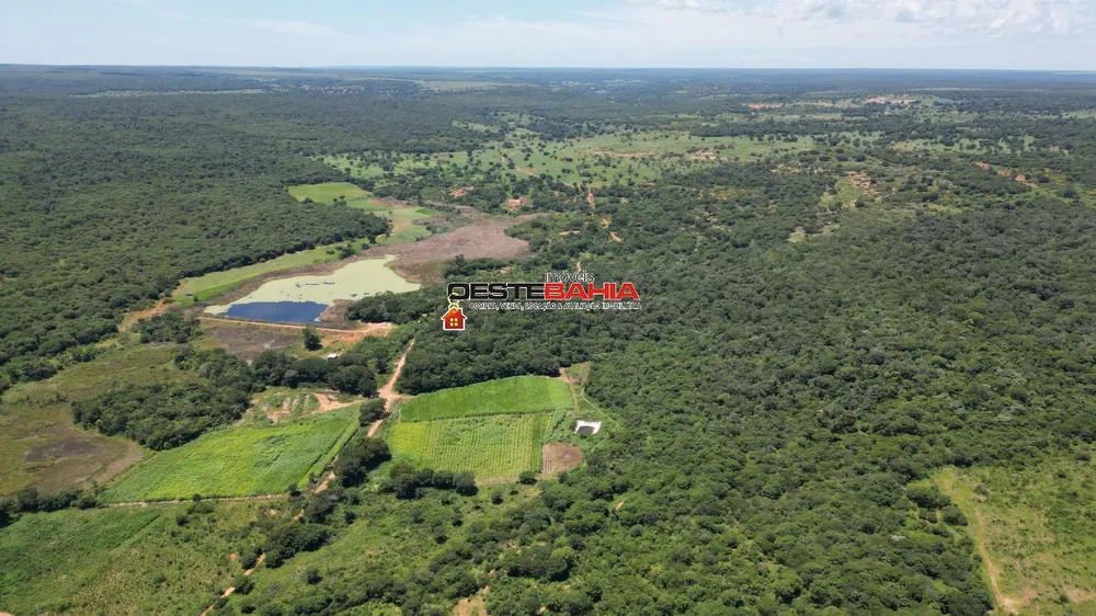 Fazenda, 2366 hectares - Foto 10