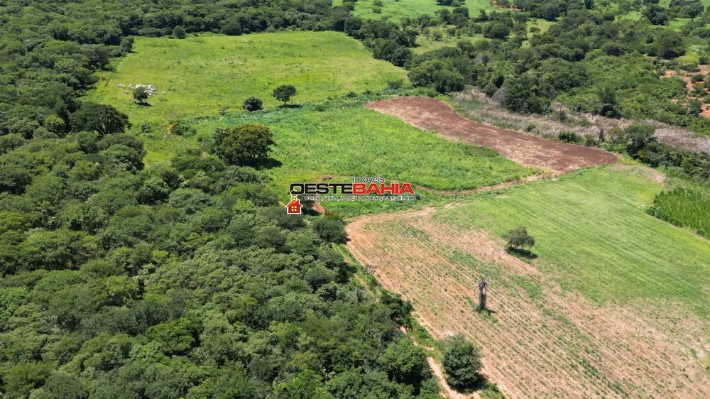 Fazenda, 2366 hectares - Foto 9