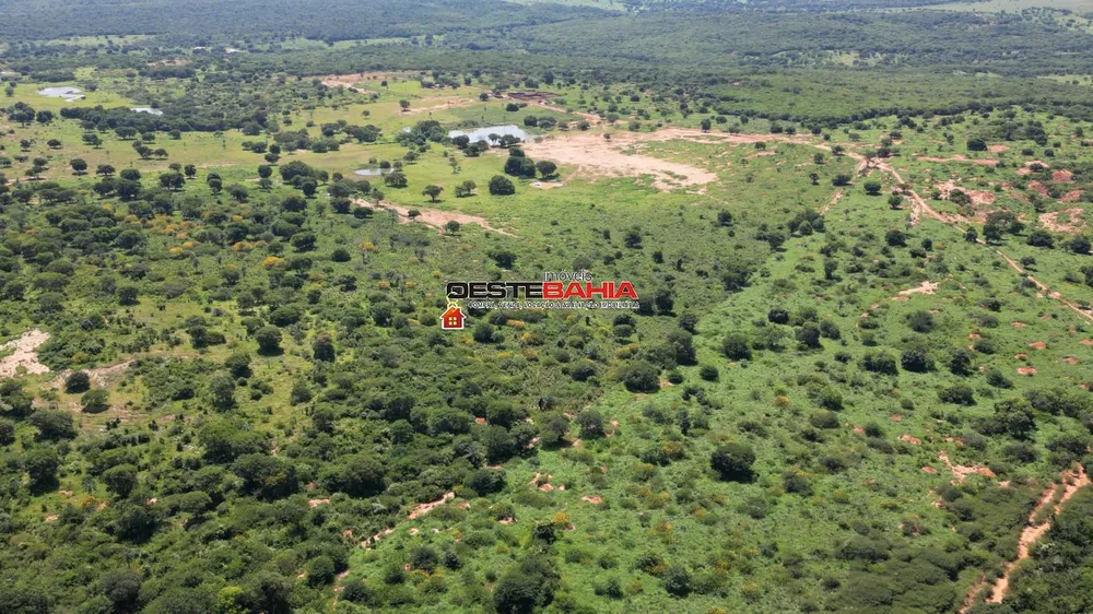 Fazenda, 2366 hectares - Foto 3