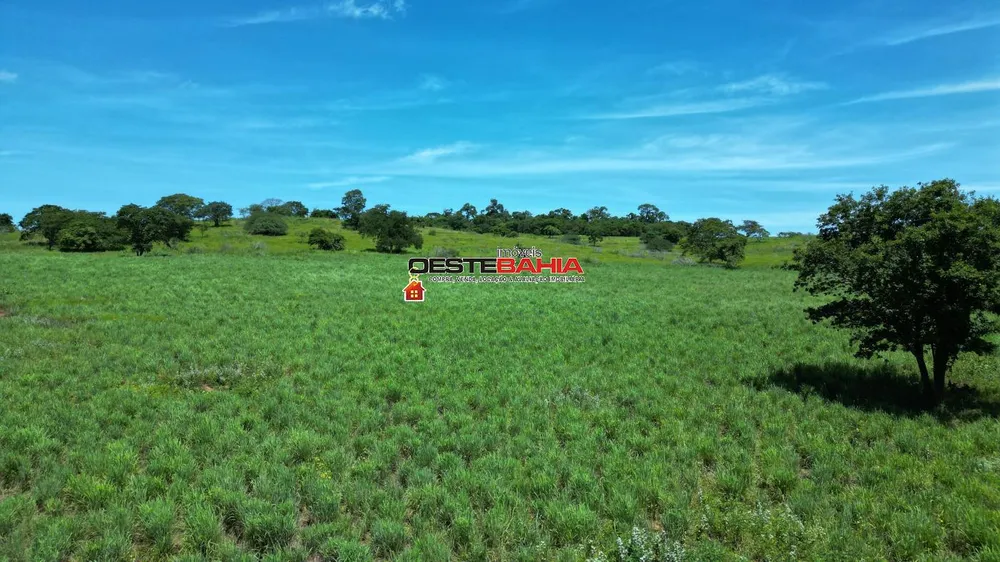 Fazenda, 2366 hectares - Foto 5
