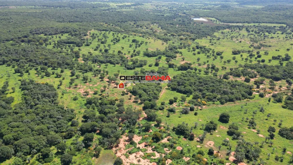 Fazenda, 2366 hectares - Foto 7