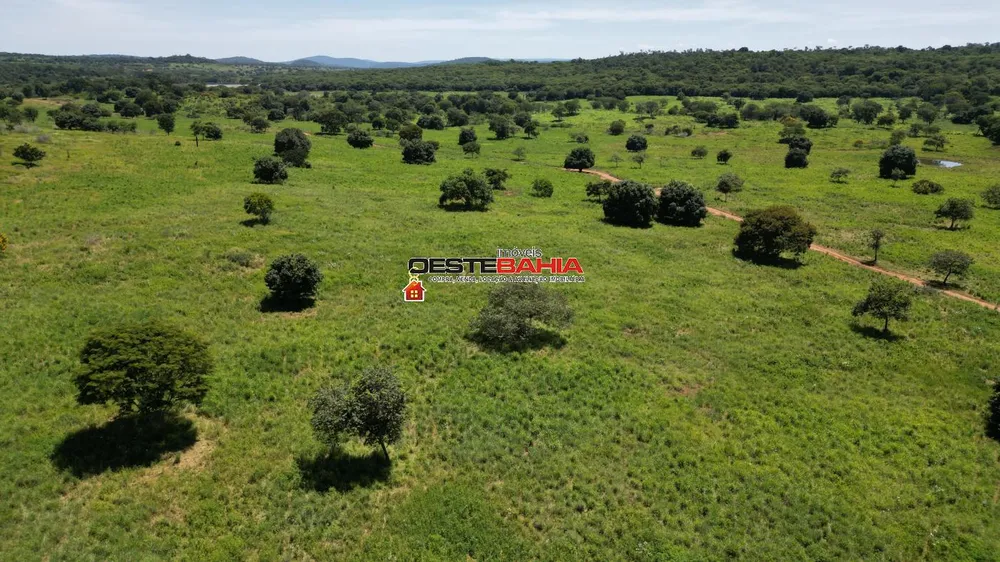Fazenda, 2366 hectares - Foto 6