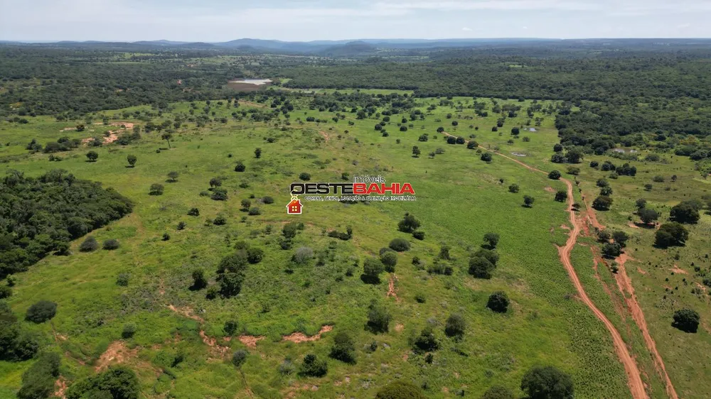Fazenda, 2366 hectares - Foto 8