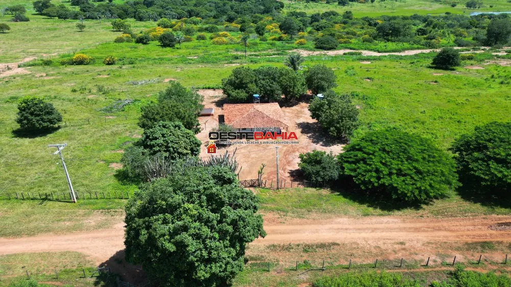 Fazenda, 2366 hectares - Foto 12