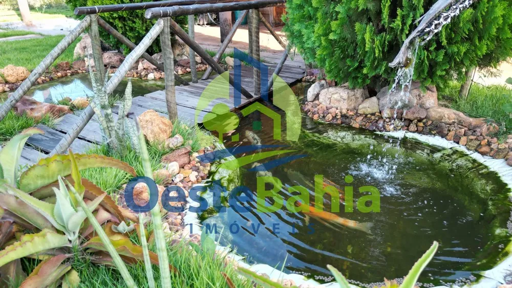 Fazenda, 67 hectares - Foto 11