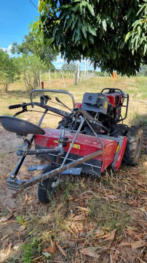 Fazenda, 67 hectares - Foto 6