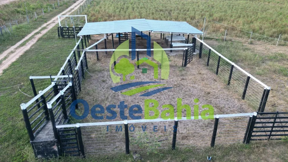 Fazenda, 67 hectares - Foto 7