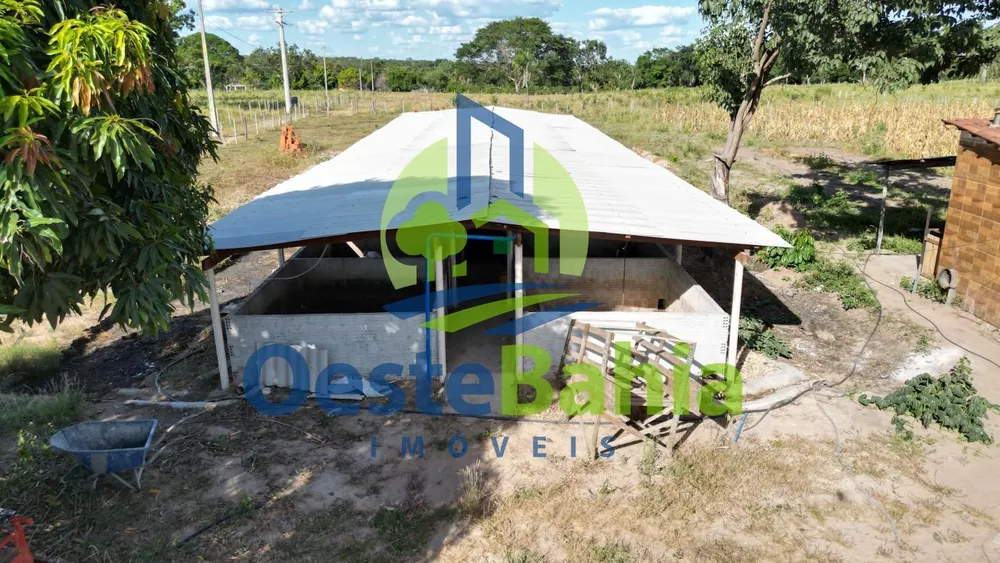 Fazenda, 67 hectares - Foto 12