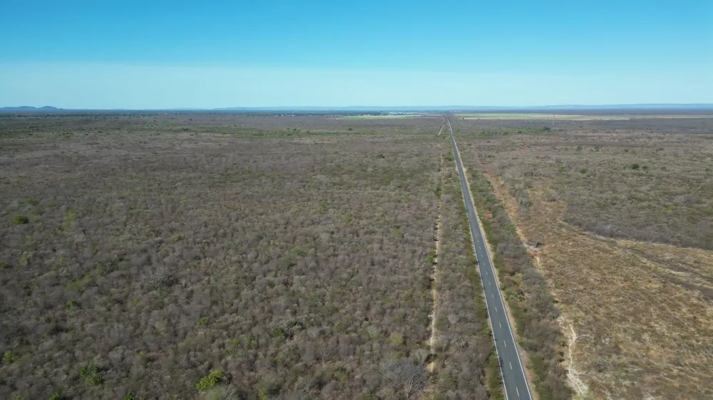 Fazenda, 4869 hectares - Foto 3