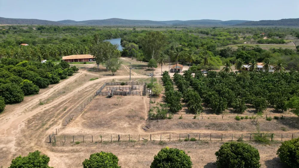 Fazenda, 254 hectares - Foto 6