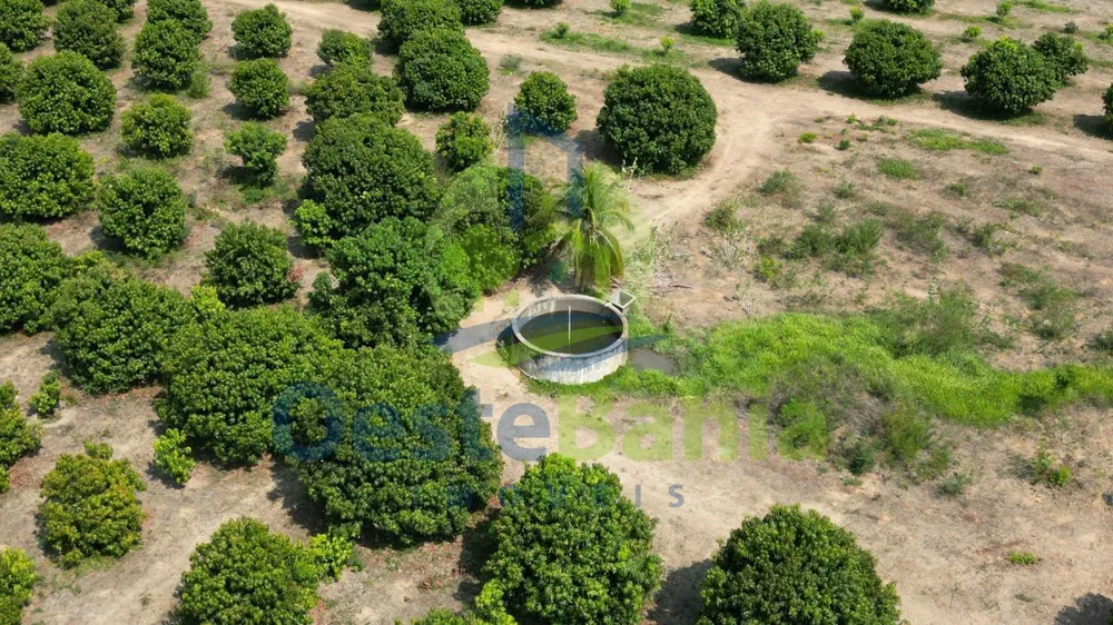Fazenda, 254 hectares - Foto 12