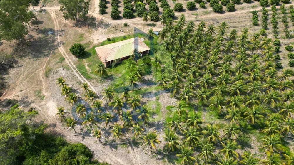 Fazenda, 254 hectares - Foto 4
