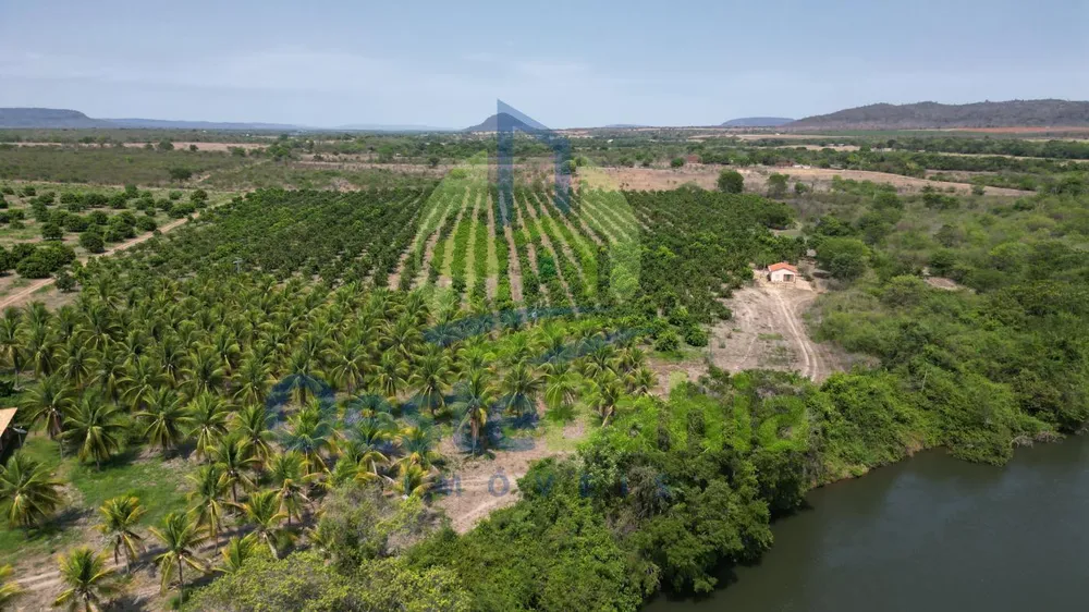 Fazenda, 254 hectares - Foto 10