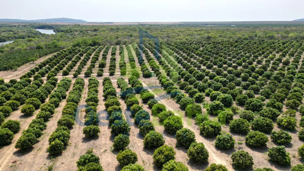 Fazenda, 254 hectares - Foto 7