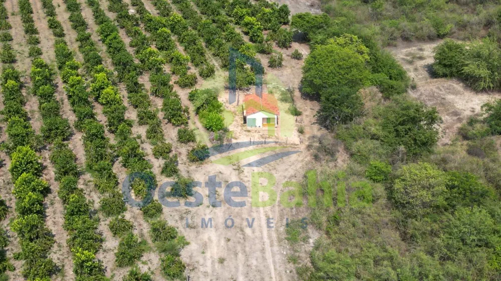 Fazenda, 254 hectares - Foto 11