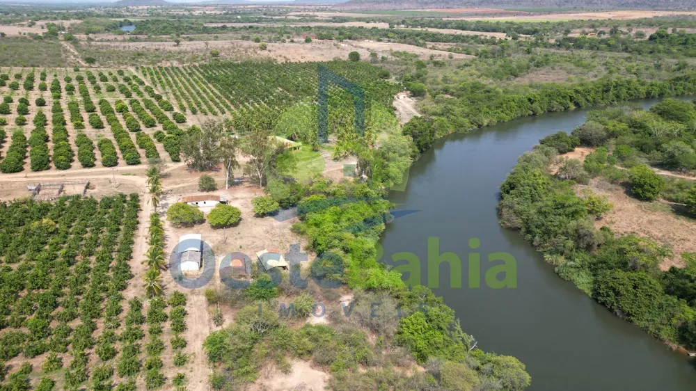 Fazenda, 254 hectares - Foto 9