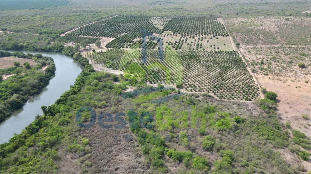 Fazenda, 254 hectares - Foto 3