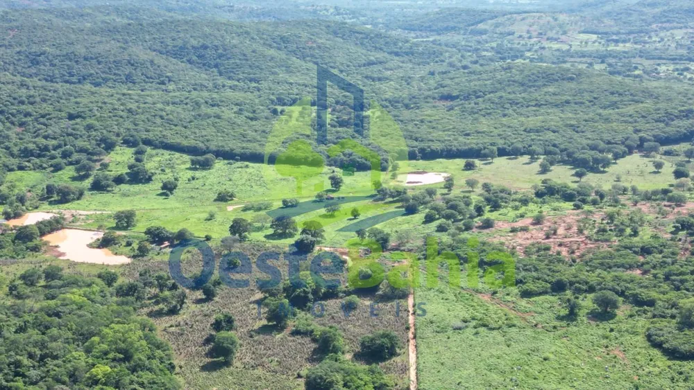 Fazenda, 159 hectares - Foto 4