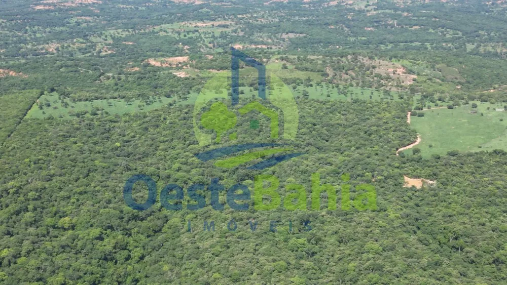 Fazenda, 159 hectares - Foto 8