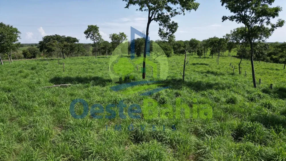 Fazenda, 159 hectares - Foto 10