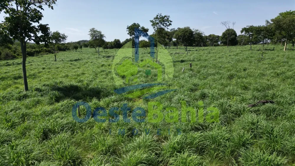 Fazenda, 159 hectares - Foto 1