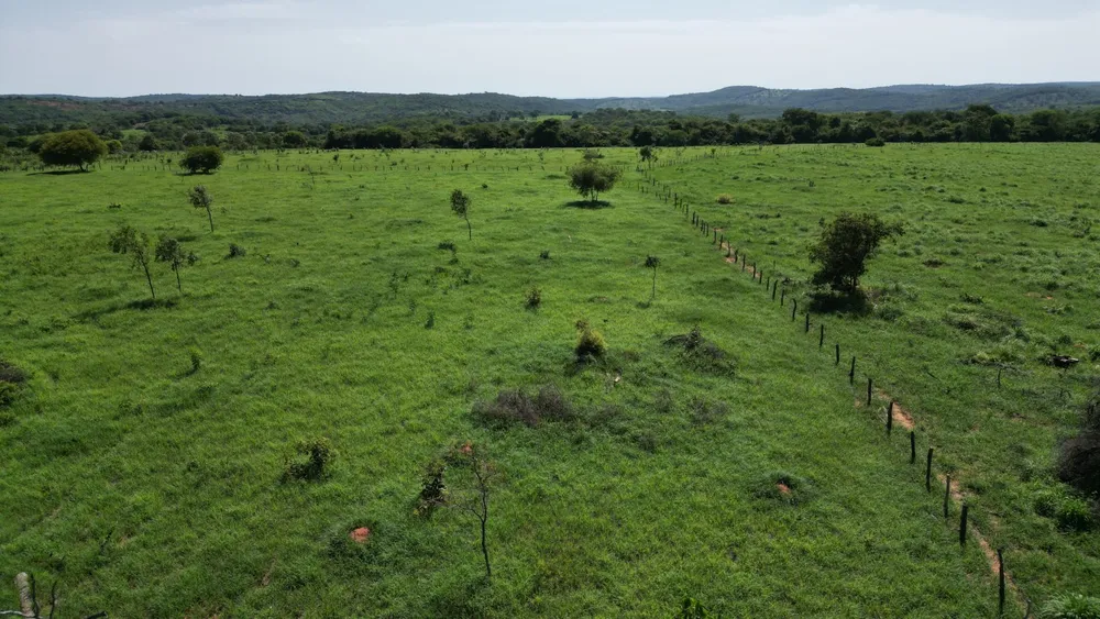 Fazenda, 159 hectares - Foto 9