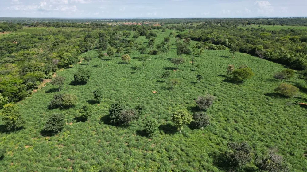 Fazenda, 159 hectares - Foto 7