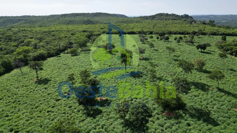 Fazenda, 159 hectares - Foto 6