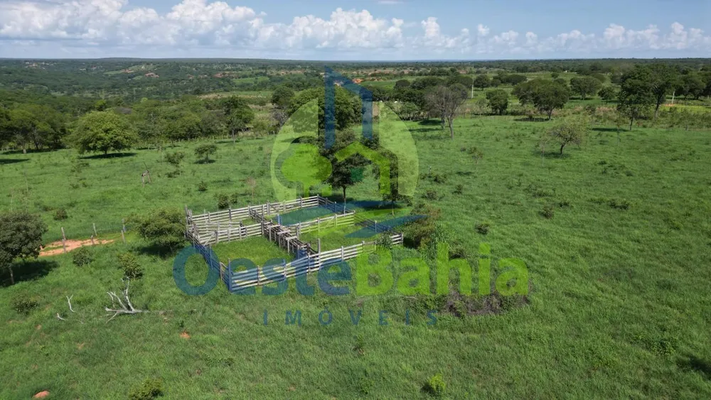 Fazenda, 159 hectares - Foto 12