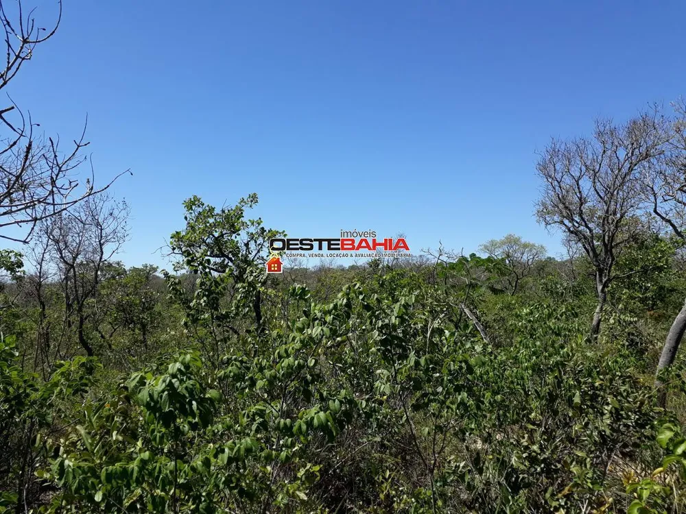 Fazenda, 1040 hectares - Foto 2