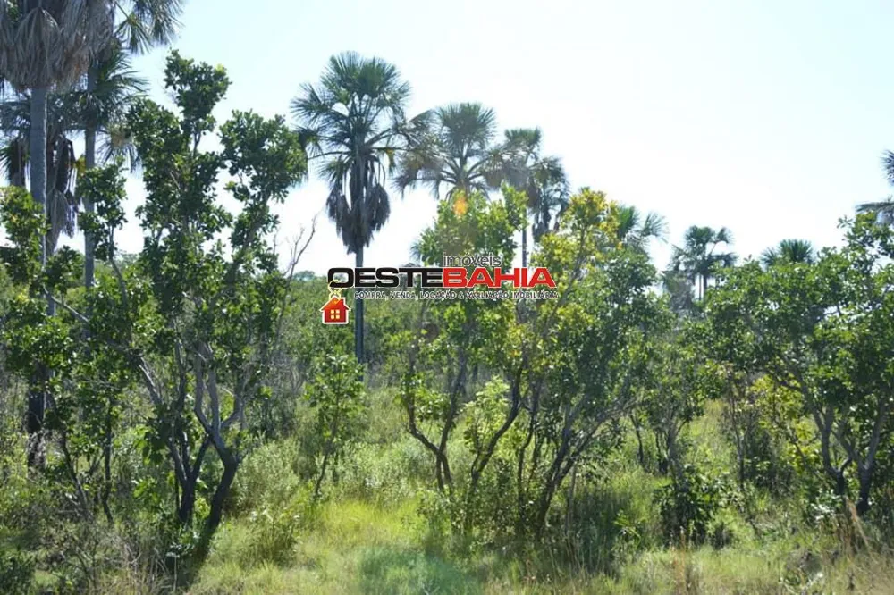Fazenda, 1040 hectares - Foto 3