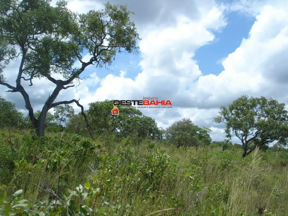 Fazenda, 1040 hectares - Foto 7