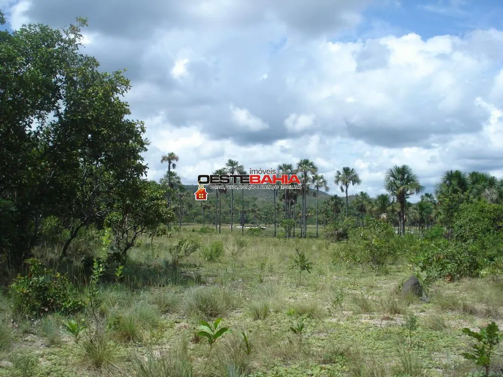 Fazenda, 1040 hectares - Foto 4