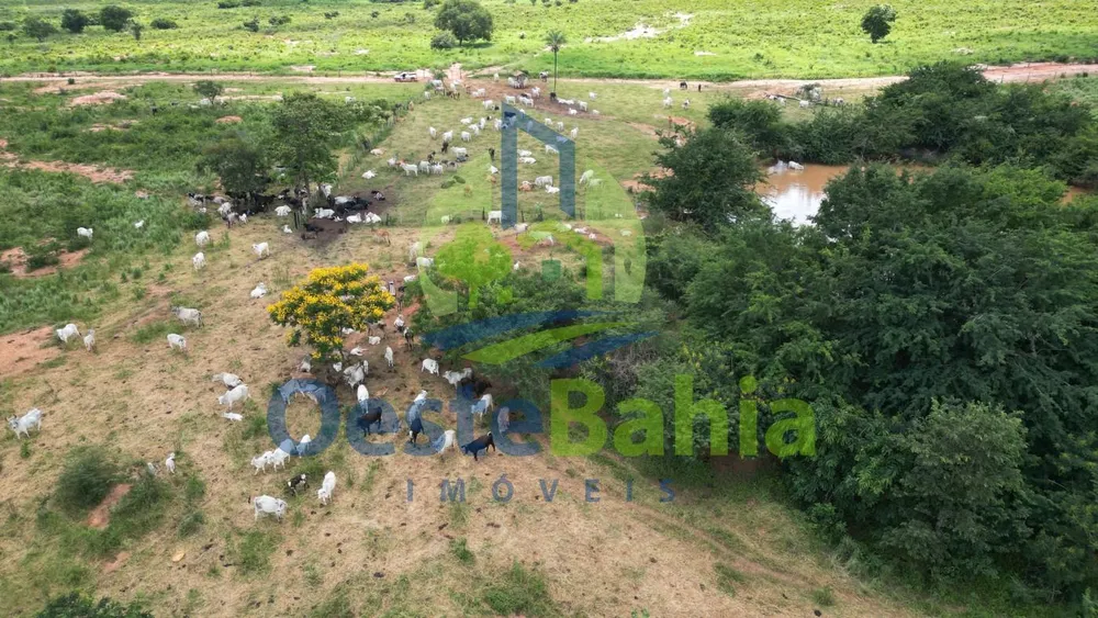 Fazenda, 2812 hectares - Foto 11