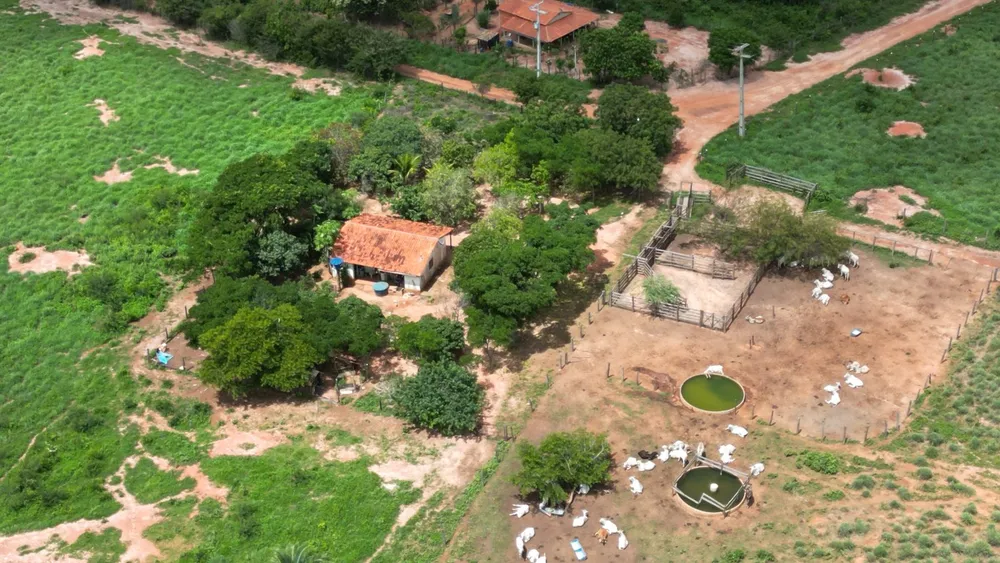 Fazenda, 2812 hectares - Foto 4