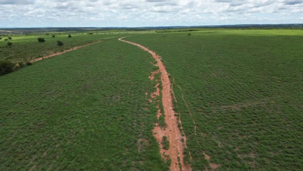 Fazenda, 2812 hectares - Foto 2