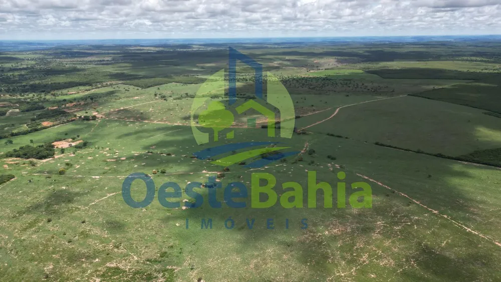Fazenda, 2812 hectares - Foto 12