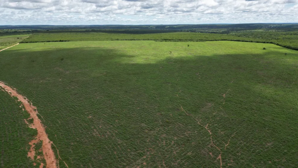 Fazenda, 2812 hectares - Foto 3