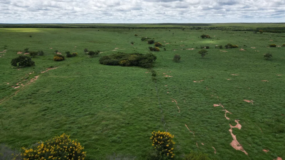 Fazenda, 2812 hectares - Foto 1