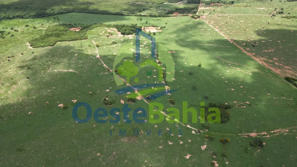 Fazenda, 2812 hectares - Foto 7
