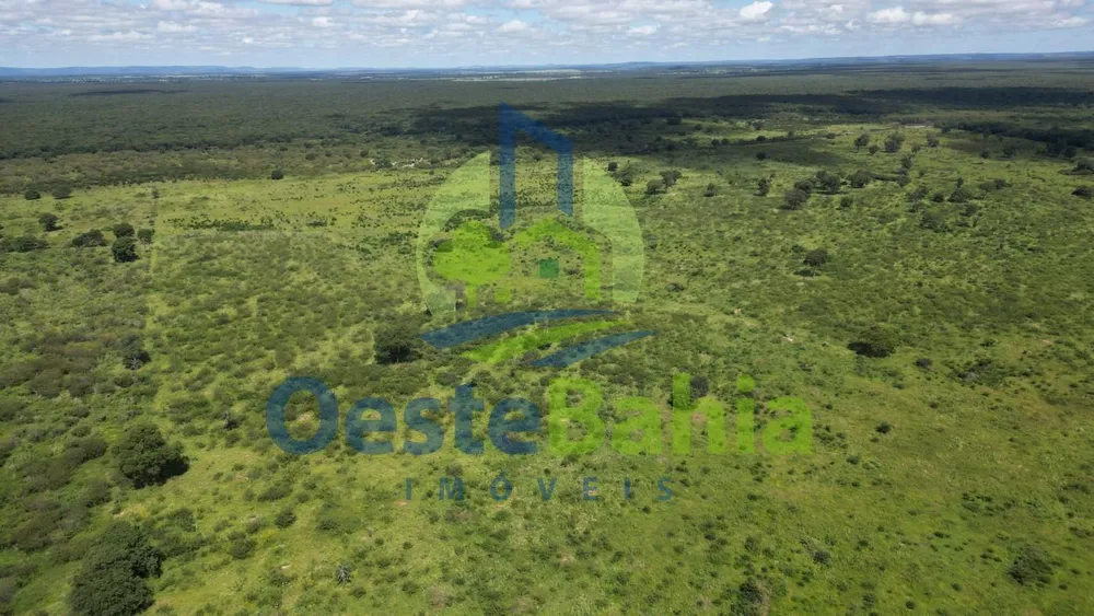 Fazenda, 1402 hectares - Foto 3