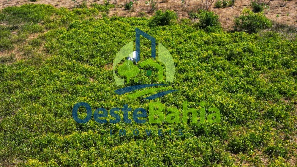 Fazenda, 1402 hectares - Foto 4