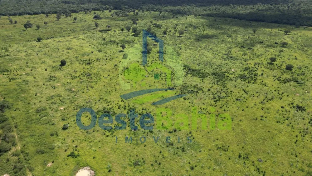 Fazenda, 1402 hectares - Foto 12