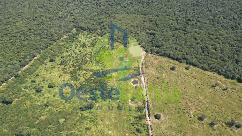 Fazenda, 1402 hectares - Foto 11